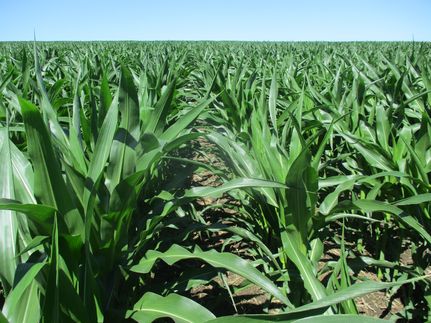 Property for sale in Lyon County, Iowa