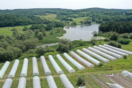 Hunting Land for sale in Madison County, New York