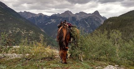 Property for sale in La Plata County, Colorado