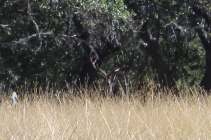 Farm Property for sale in Edwards County, Texas