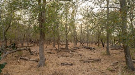 Property for sale in Caldwell County, Texas