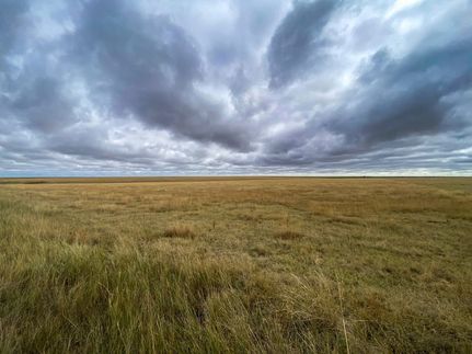 Hunting Land for sale in Baca County, Colorado