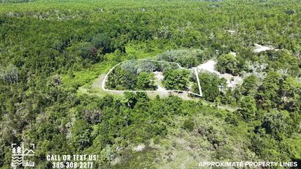 Timberland Property in Klamath County, Oregon