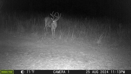 Property for sale in Benton County, Tennessee