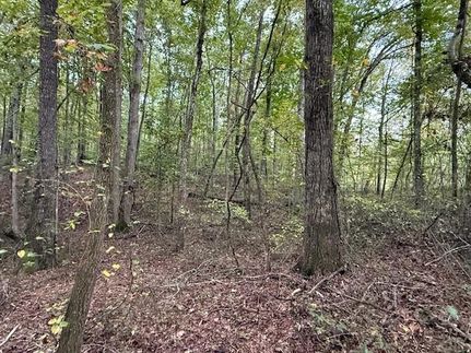 Property for sale in Grundy County, Tennessee
