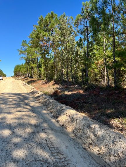 Undeveloped Land for sale in Chesterfield County, South Carolina
