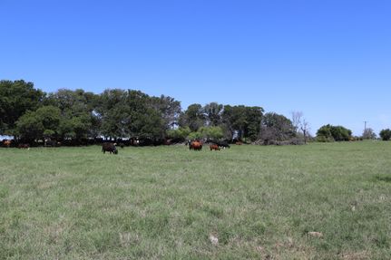 Horse Property for sale in Clay County, Texas