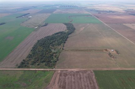 Timberland Property for sale in Barton County, Kansas