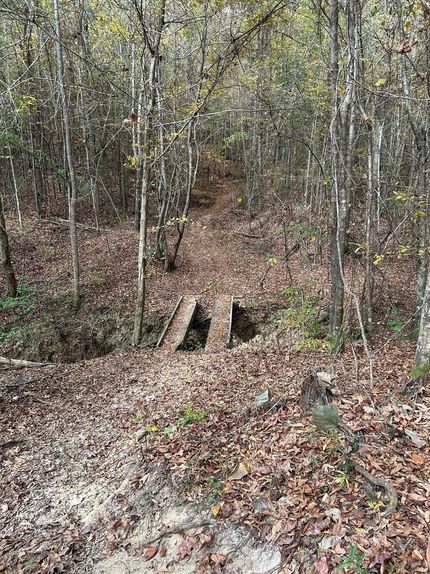 Recreational Property in Wilcox County, Alabama