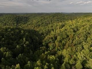 Lakefront Property for sale in Morgan County, Kentucky