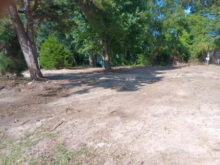 Waterfront Property for sale in Henry County, Alabama