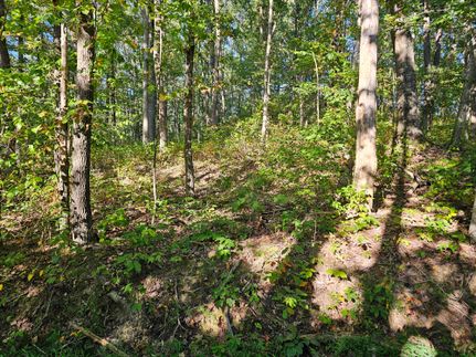 Property for sale in Kanawha County, West Virginia