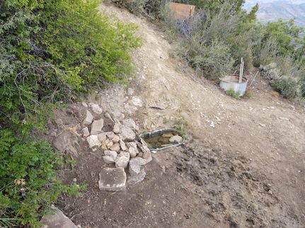 Timberland Property for sale in Mesa County, Colorado