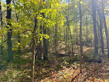 Property for sale in Crow Wing County, Minnesota