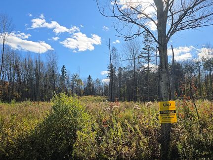 Farm Property for sale in Otsego County, New York