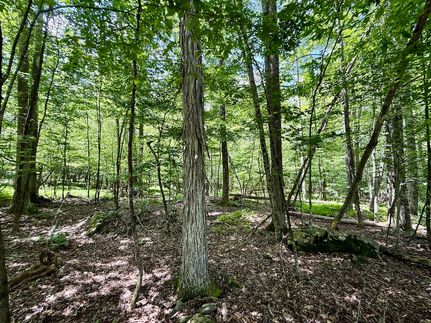 Ranch Property for sale in Ulster County, New York