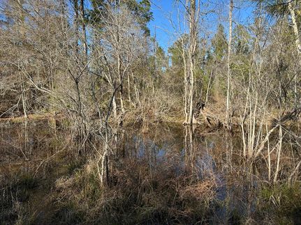 Hunting Land for sale in Houston County, Alabama