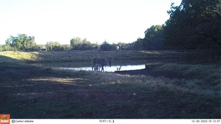 Ranch Property for sale in Terrell County, Texas