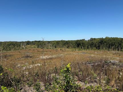 Recreational Property for sale in Choctaw County, Mississippi