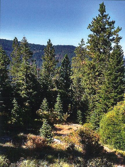 Farm Property in Jackson County, Oregon