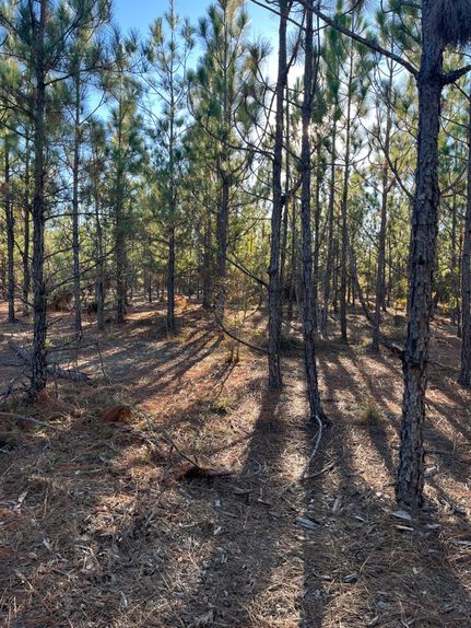Property for sale in Kershaw County, South Carolina