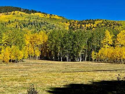 Property for sale in Montezuma County, Colorado