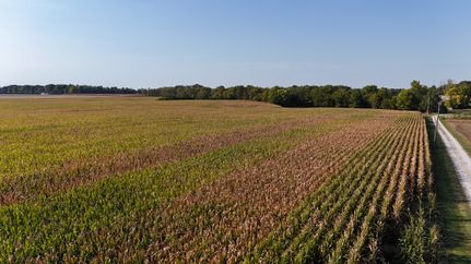 Farm Property for sale in Carroll County, Indiana