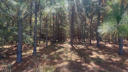 Property for sale in Screven County, Georgia