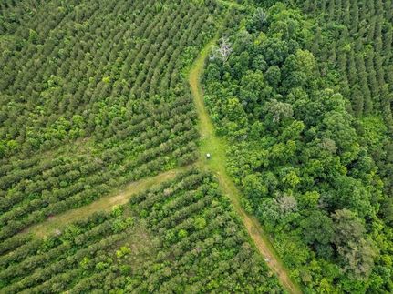 Property for sale in Morehouse Parish, Louisiana