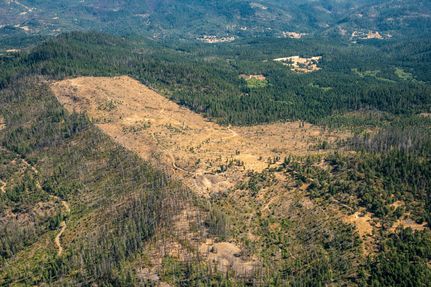 Property for sale in Douglas County, Oregon