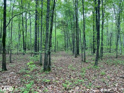 Recreational Property in Madison County, Alabama