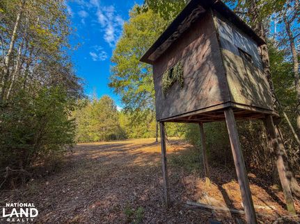 Timberland Property for sale in Dallas County, Alabama