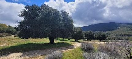 Property for sale in San Diego County, California