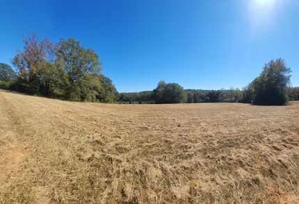 Farm Property for sale in Henry County, Georgia