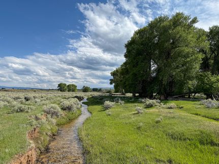 Undeveloped Land for sale in Carbon County, Wyoming