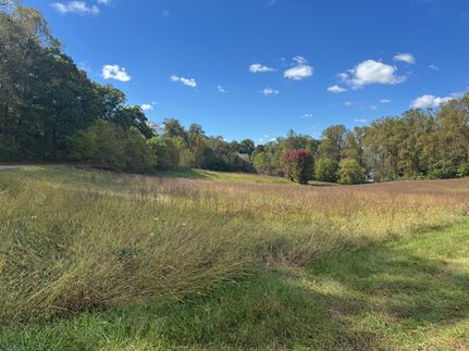 Undeveloped Land for sale in Towns County, Georgia