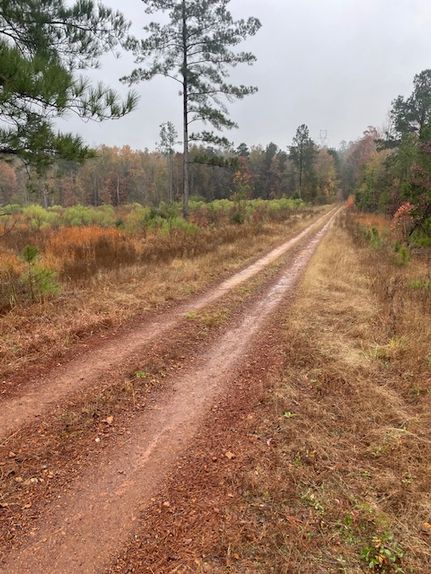 Farm Property for sale in Harrison County, Texas