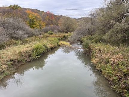 Property for sale in Allegany County, New York