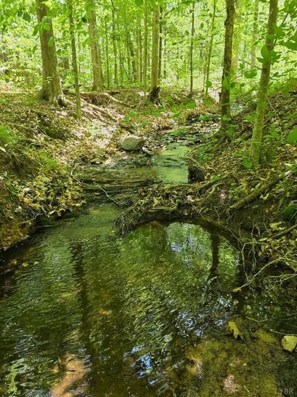 Property for sale in Appomattox County, Virginia