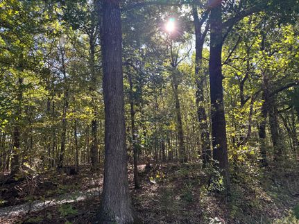 Timberland Property for sale in Hardin County, Illinois