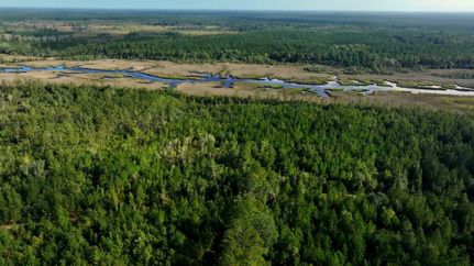 Ranch Property for sale in Glynn County, Georgia