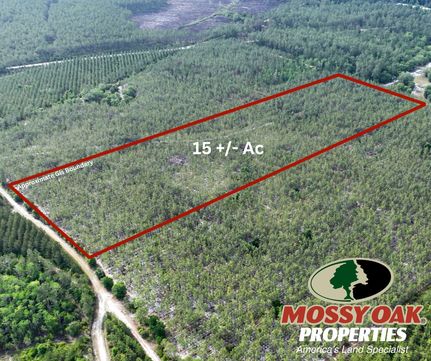 Ranch Property for sale in Charlton County, Georgia