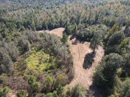 Undeveloped Land for sale in Jackson County, Florida