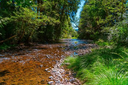 Property for sale in Lane County, Oregon