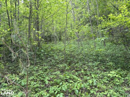 Timberland Property for sale in Jackson County, North Carolina