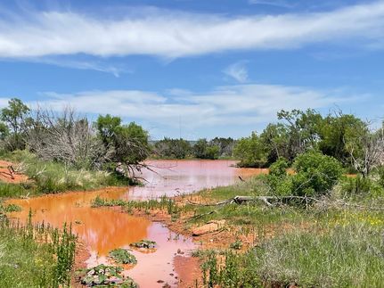 Farm Property for sale in Taylor County, Texas