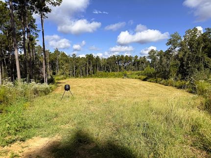 Timberland Property for sale in Jefferson County, Mississippi