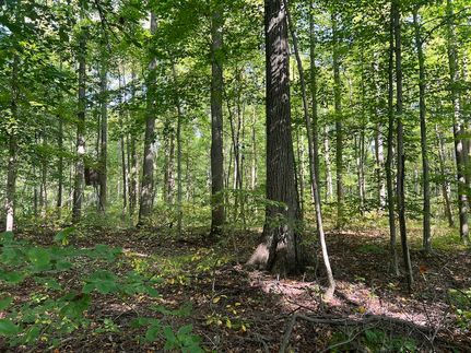 Undeveloped Land for sale in Medina County, Ohio