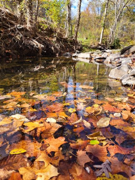 Property for sale in Hampshire County, West Virginia