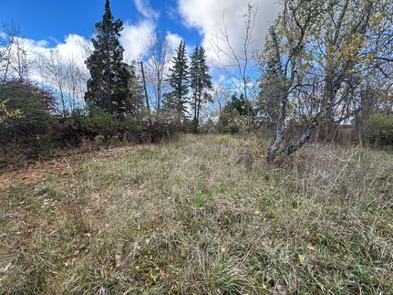 Recreational Property for sale in Sanilac County, Michigan